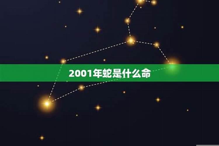 2001年3月19日是什么命