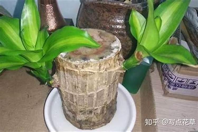 怎么看什么时候犯太岁