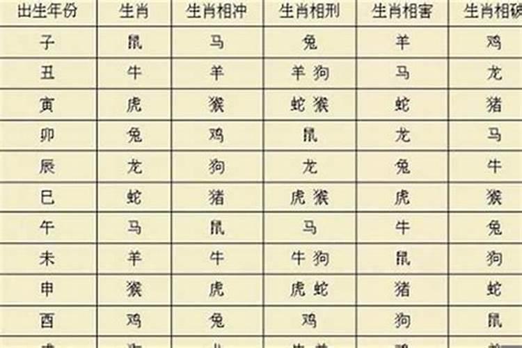 99年11月属什么的