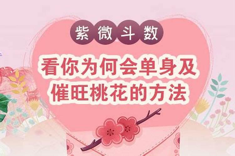 属兔与哪个属相不合婚姻