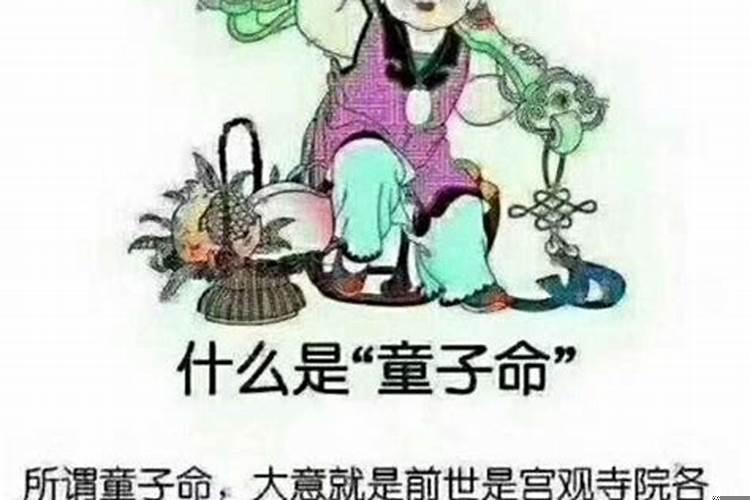 属鸡女婚配和什么属相合适