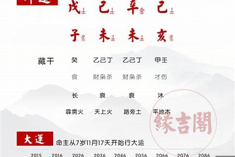 八字大运走食印