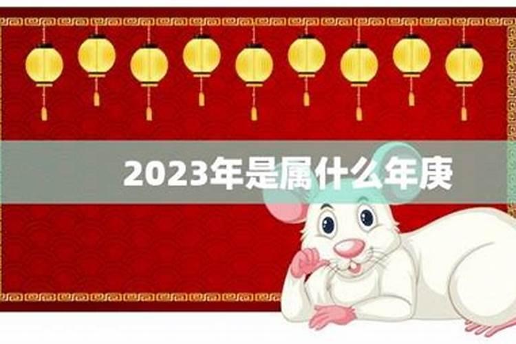 去年是属什么年