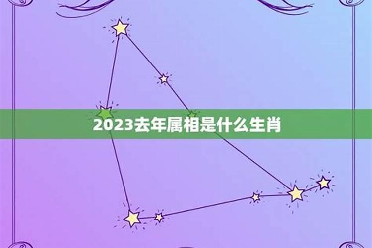 去年什么年属什么2021年