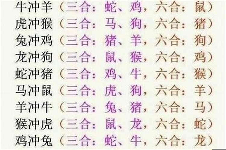 属牛跟属什么八字合