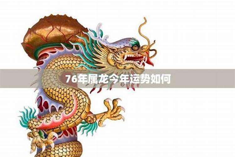 76年的龙今年财运怎么样