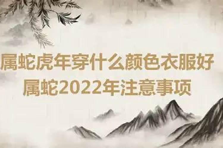 属蛇2022年忌讳什么颜色