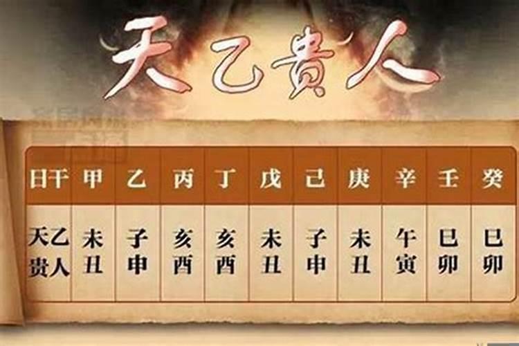 金马八字和木八字合吗