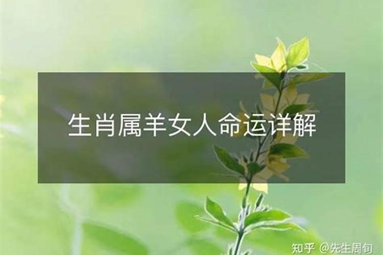 阳历八月属羊女是什么命