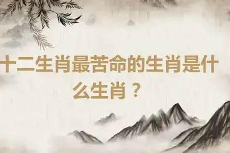 婚后最苦命的生肖女是什么