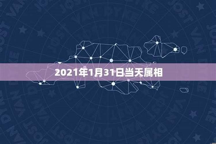 今天属什么生肖老黄历2021年2月16日出生的人