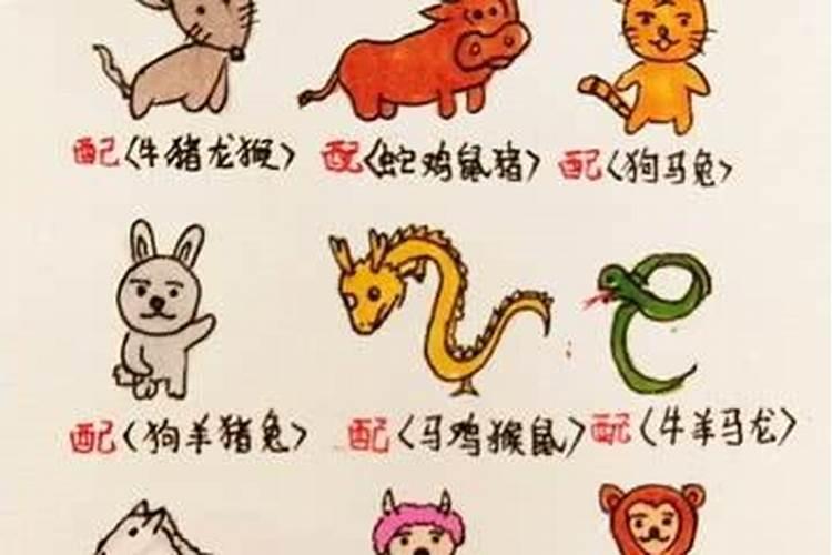 猴子是胎生卵孵的生肖吗