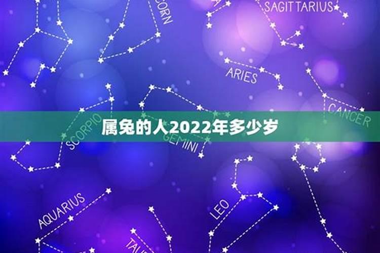 属兔的人2022年多少岁