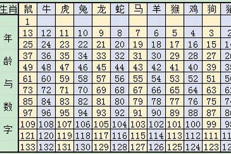 11号是什么生肖2022年