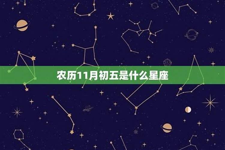 农历十一月是哪个星座