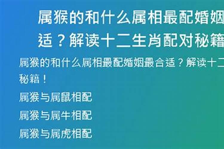 属猴的能和什么属相婚配