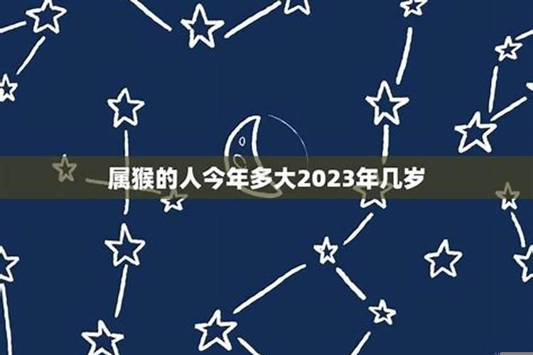 属猴的1992年今年多大