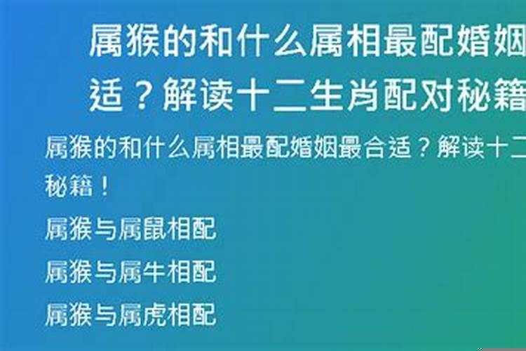 属猴的和什么属相相配婚姻最好