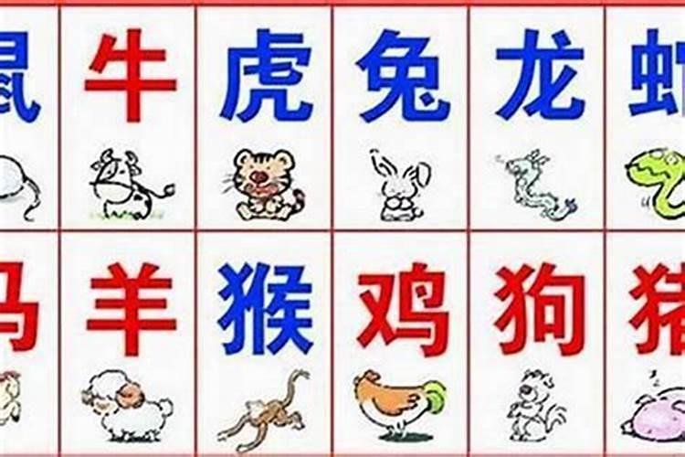 八字详批命理分析