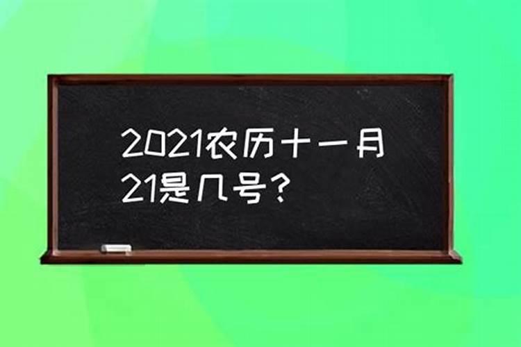 今天农历是多少生肖属什么