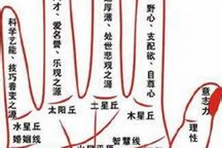 八字无正缘是没有婚姻吗