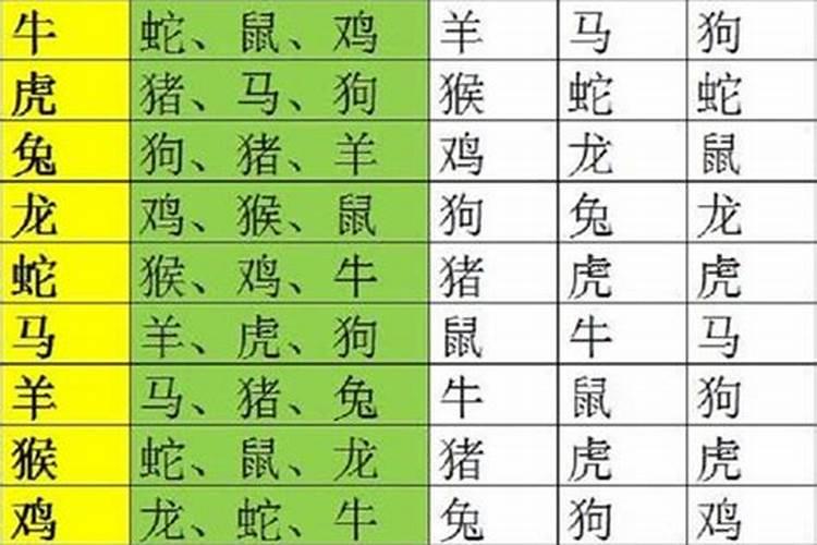 本命年生肖戴三合好还是6合好