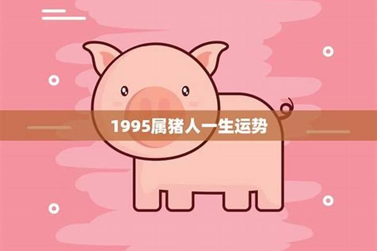 1995属猪女有贵人相助吗