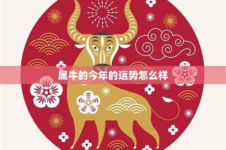 属牛的今年运势怎么样20218月