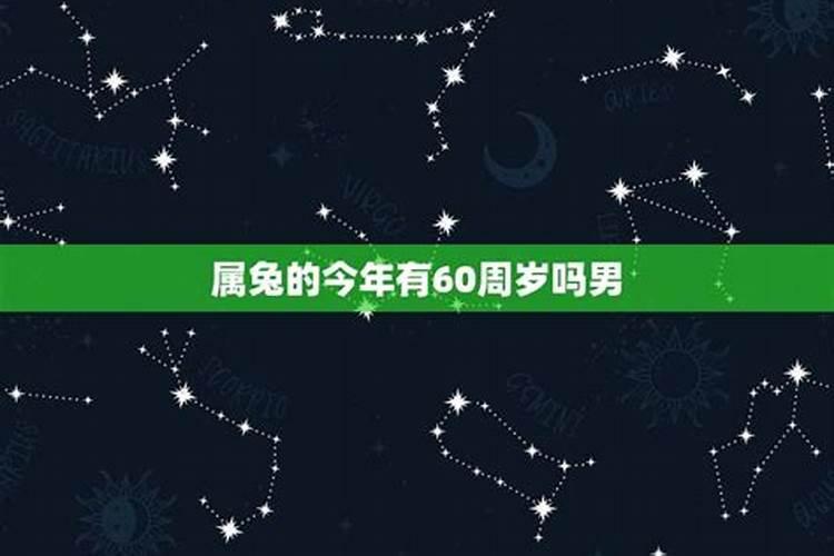 属兔的今年年纪大吗