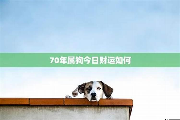 70年狗今天运势及方位