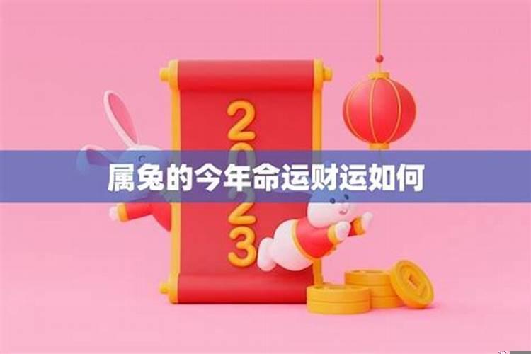 兔子生肖今年运势如何