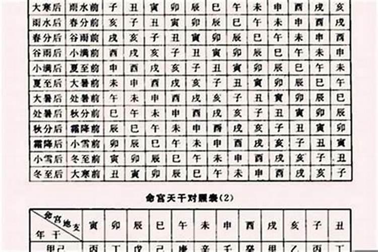 八字里日子用地支还是用天干记录