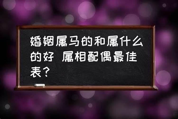 属马适合的婚姻配偶