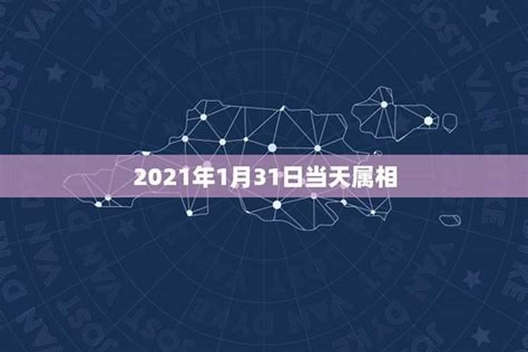 今天属什么2022年1月9号属什么生肖