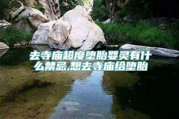 梦到有个双胞胎儿子什么意思