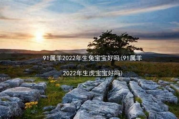 2022年虎年属羊可生虎宝宝吗