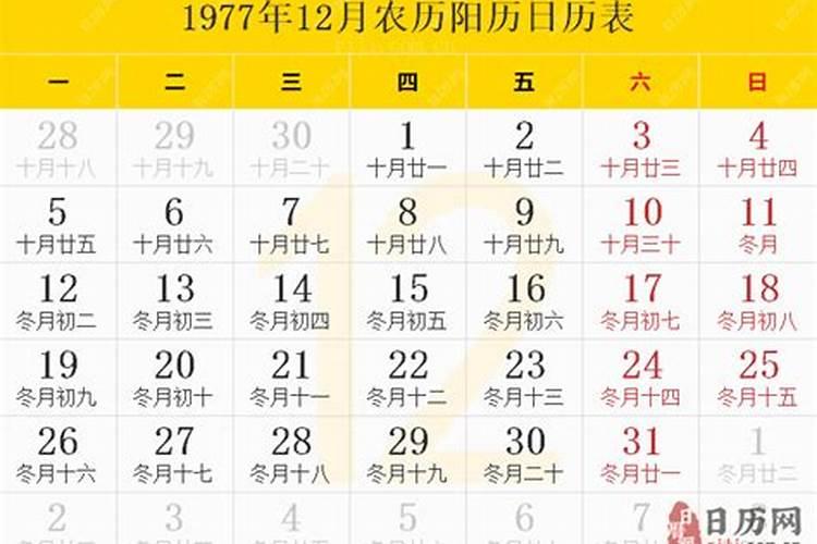 农历1977年11月18日生的命运