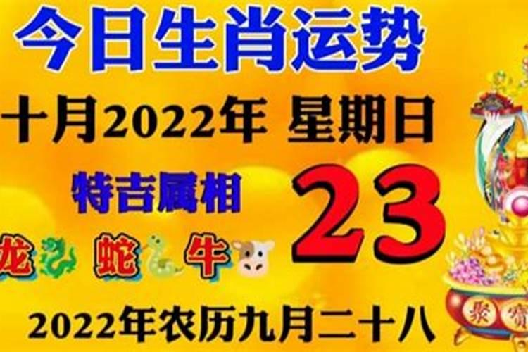 2021年3月23日特吉生肖