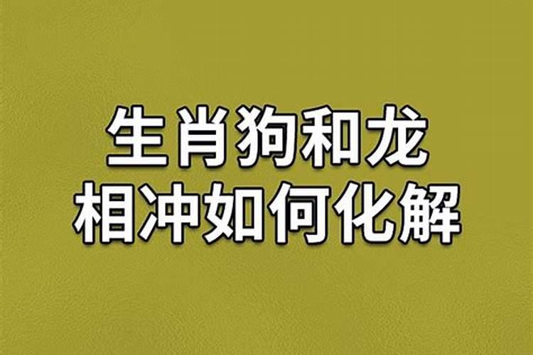 龙和狗犯太岁怎么解