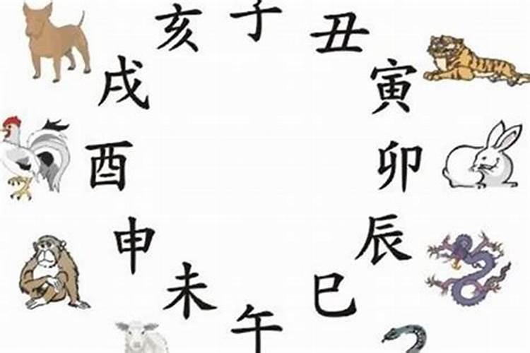 生肖一样的人八字一定合吗