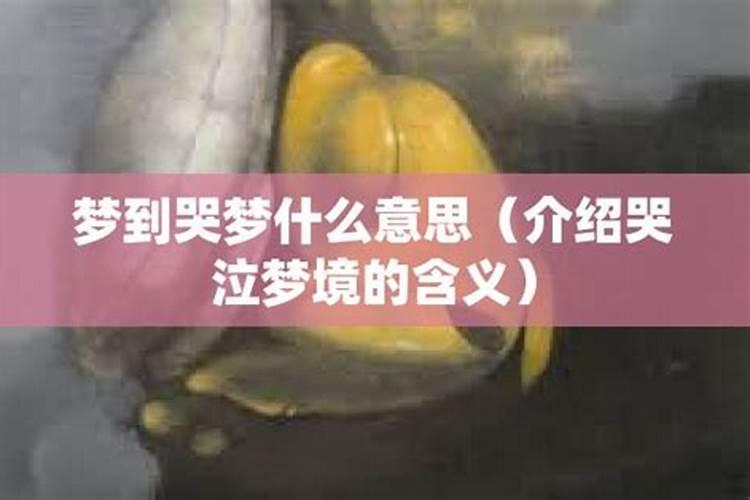 梦见丈夫他哥死了,从梦中哭醒来