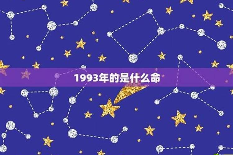 1993年什么生肖