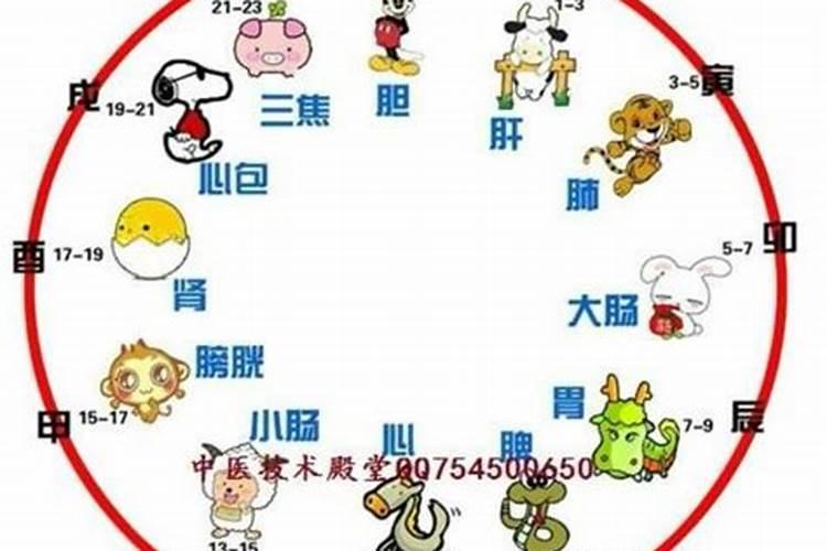 12生肖什么时辰出生最好