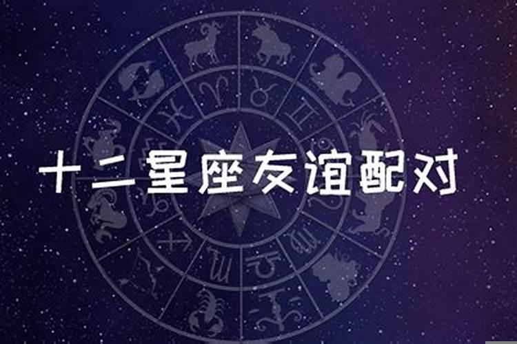 朋友之间星座配对什么意思