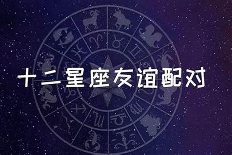 朋友之间星座配对什么意思