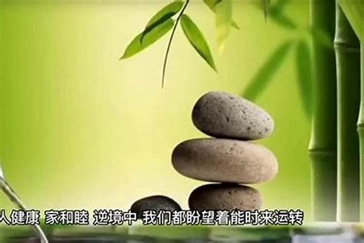 事业发展最大的生肖