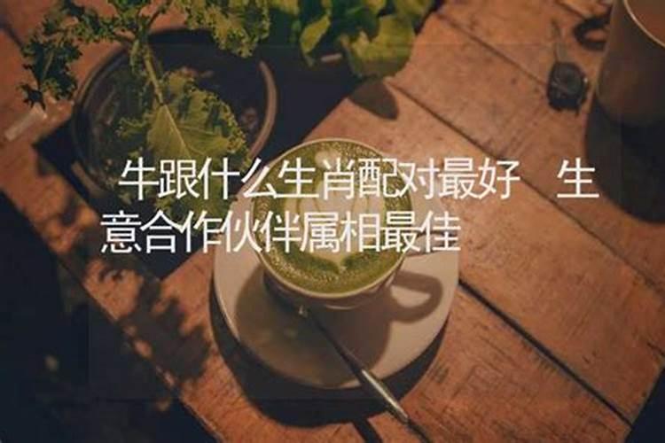 合伙人生肖配对