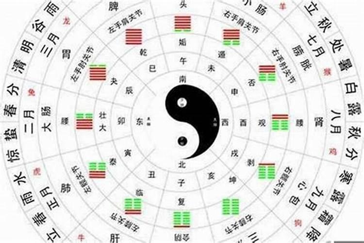 怎么看自己八字属性