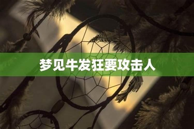 女人梦到牛发狂要攻击自己