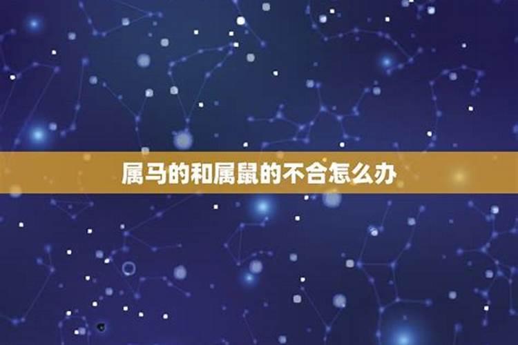 属马和属鼠的不合如何化解相冲